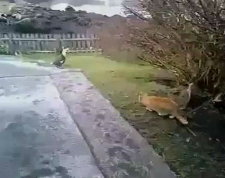 10897276_610313709096224_610311005763161_33657_765_b