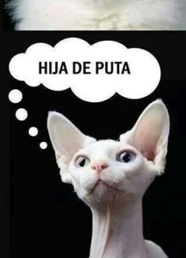 10421618_815004701908721_2657643302096867427_n (1)