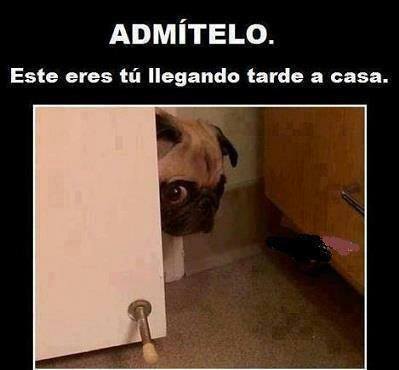 10926400_815004838575374_2450512180665976170_n