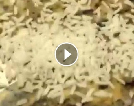 Screenshot_031115_035628_PM.000