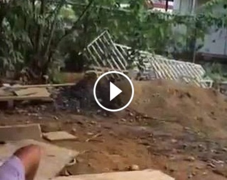 Screenshot_031915_025139_PM (1)