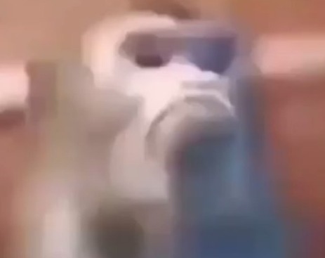 Screenshot_032615_012713_PM (1)