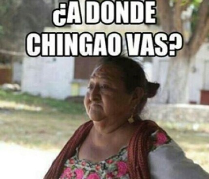 10308393_654746537986274_5635553687505473198_n (1)