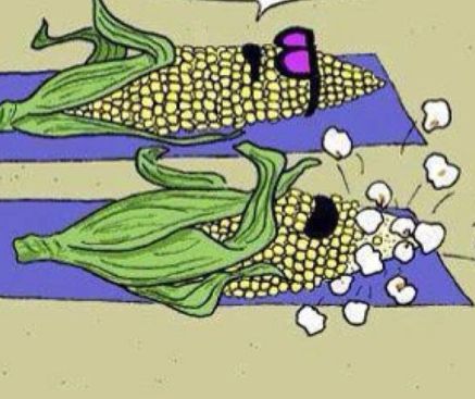 10628446_843343182421779_3734256832287557977_n (1)