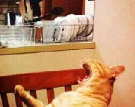 10928195_633208660135143_6996249901207885303_n (1)