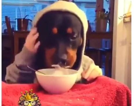 11011428_833372003405324_1173083773_n (1)