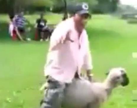 11049040_1569797406606393_2014110409_n (1)