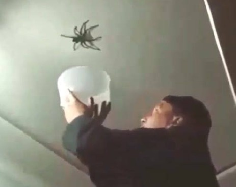 11049048_655130741281187_2018292260_n (1)