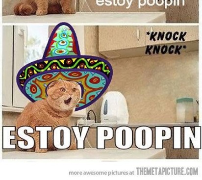 11081046_654746851319576_6644646078063445044_n (1)