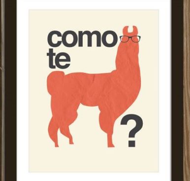 11081506_818437531565438_1932574018209635209_n (1)