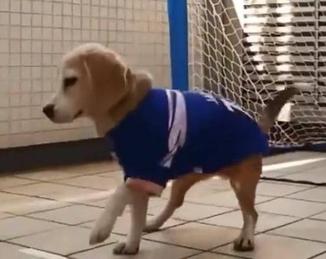 11114689_844322598990504_70854171_n (1)