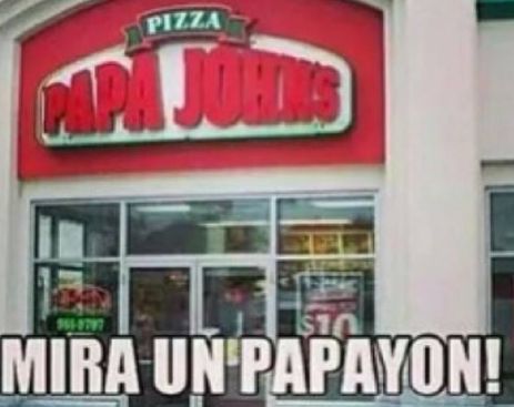 11133632_847177882038309_4484130714426467017_n (1)