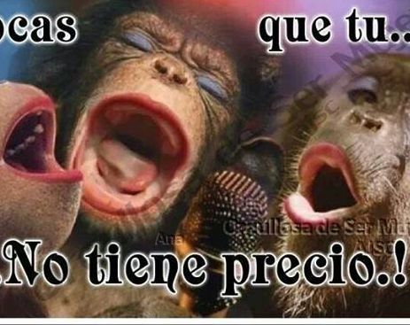 11139362_658405687620359_2352789658910997160_n (1)