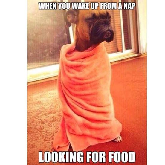 11159528_668438133283781_6777236655591129455_n (1)