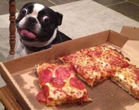 11178339_668438073283787_4802819064241481472_n (1)