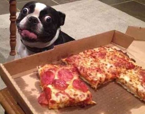 11178339_668438073283787_4802819064241481472_n (1)