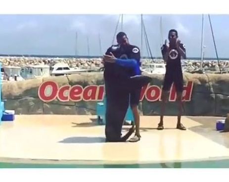 11188538_665914460202815_781556872_n (1)