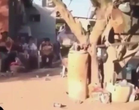 1976427_662043600589901_1517151780_n (1)