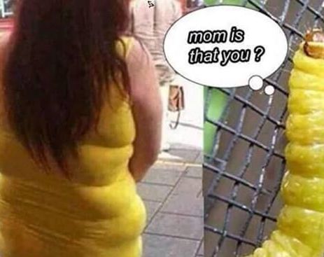 21197_1566853956900738_9176436648995030135_n (1)