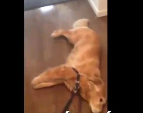 245142_655756207885307_1322955534_n (1)