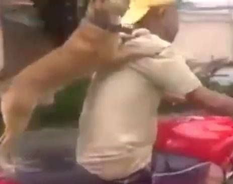 632434_1569797666606367_822105253_n (1)