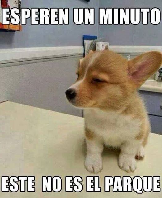 10394784_671529352974659_4753853750458577507_n