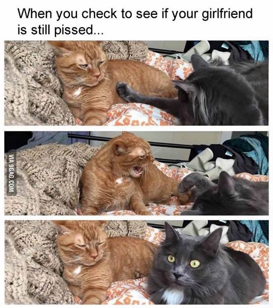 11084244_671528822974712_4845116666910262727_n