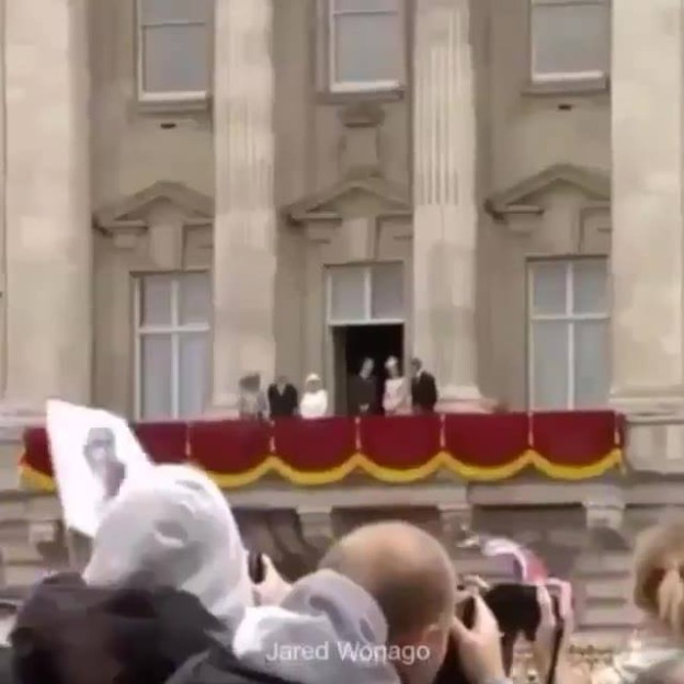 11085961_671823072945287_567266425_n