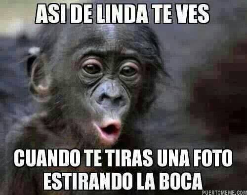 11113044_673988359395425_3884474659156557220_n