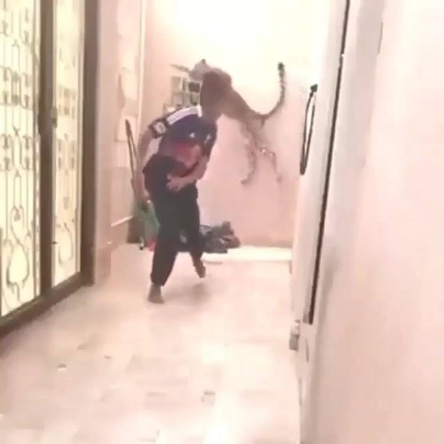 11114471_672250862902508_1326050280_n