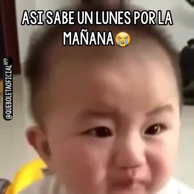 11114720_674004496060478_679870117_n