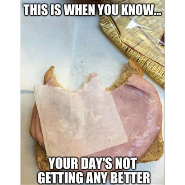 11150519_671529146308013_6291688568418023657_n