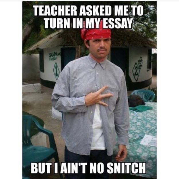 11152330_668440373283557_7334537141299061317_n