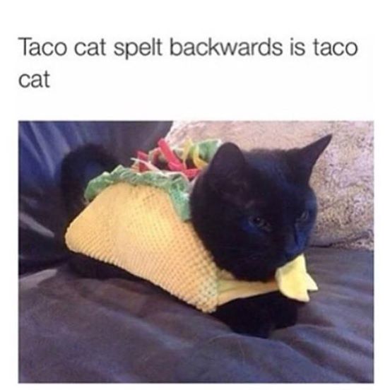 11178234_668439163283678_8645476362487804562_n