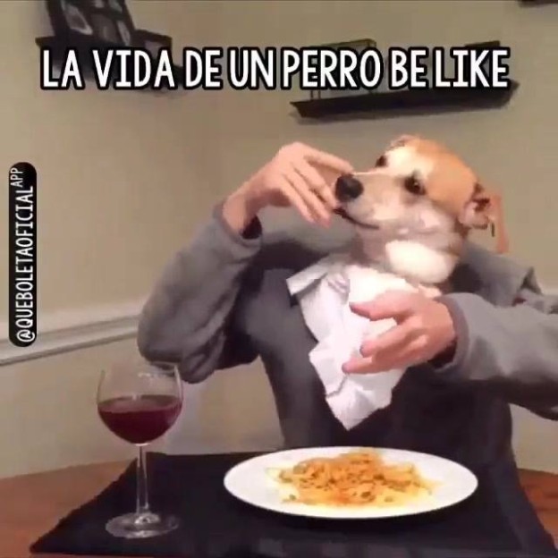 11188607_1580203415565792_475370487_n