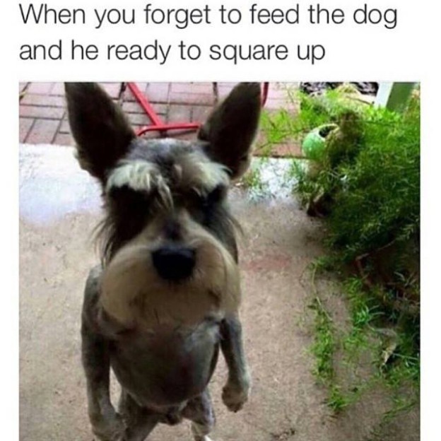 11203144_668440349950226_6323010469099231874_n