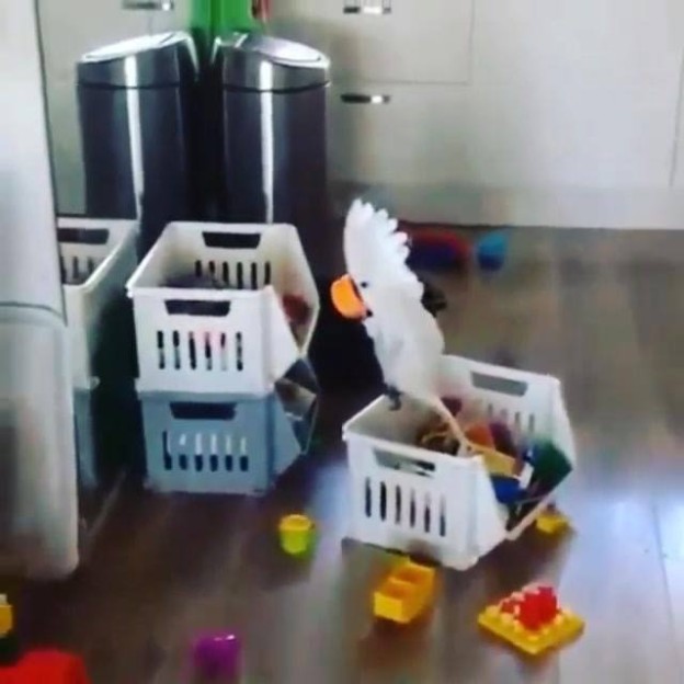 410029_676944165766511_1442064368_n